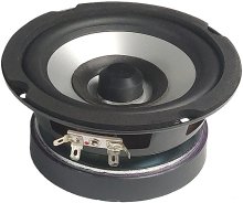 FR100